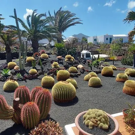 Villa Jardin Vacaciones Perfectas